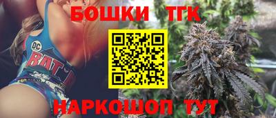 индика Можайск