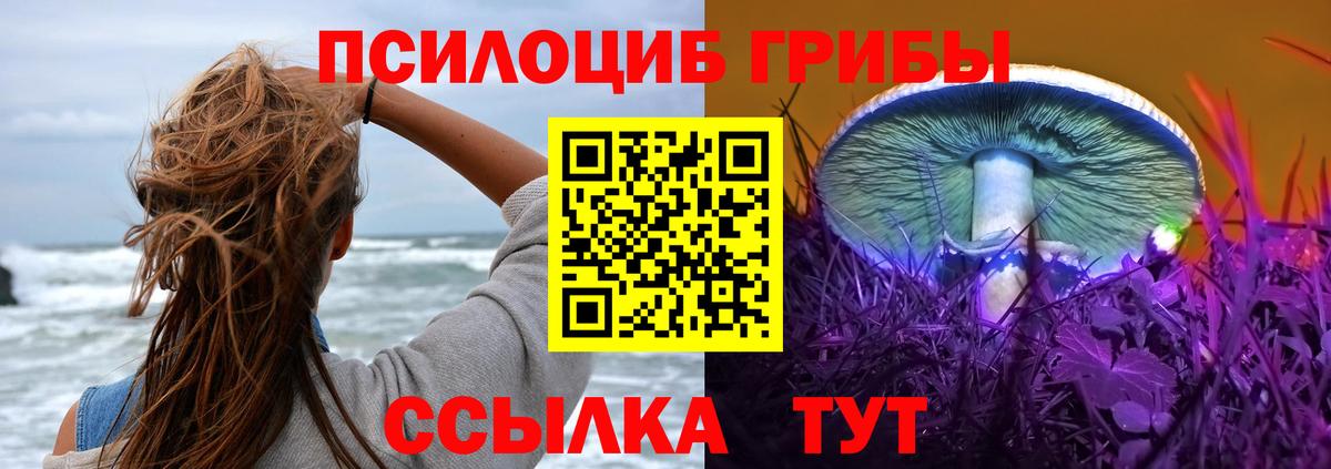 Псилоцибиновые грибы Cubensis Углич